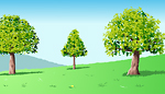tree summer