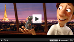 Lite Professional Flash Video Player