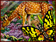 Butterfly fantasy